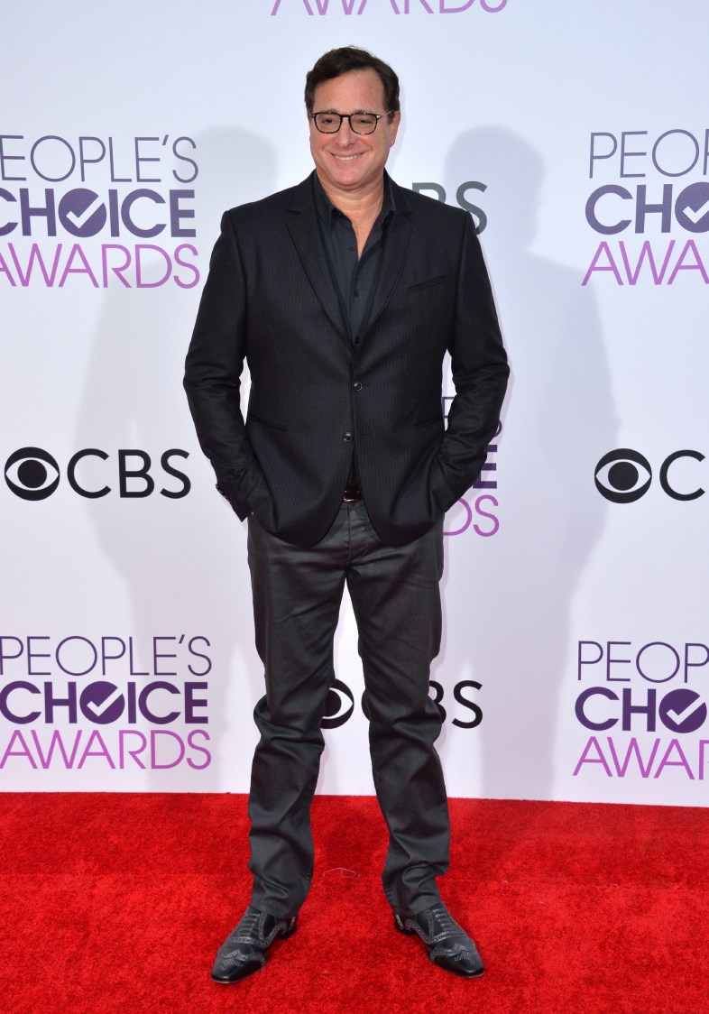 Los Angeles, Ca January 18, 2017: The saget pendant at the 2017 well-chosen peoples' awards